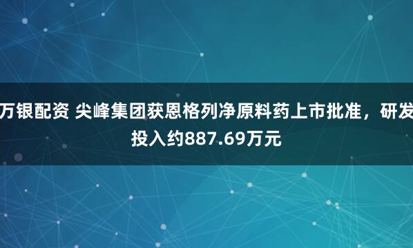 万银配资 尖峰集团获恩格列净原料药上市批准，研发投入约887.69万元