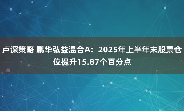 卢深策略 鹏华弘益混合A：2025年上半年末股票仓位提升15.87个百分点