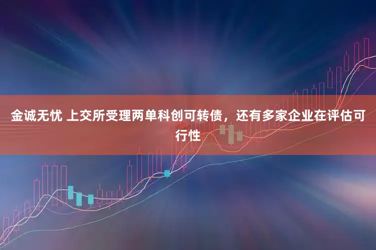 金诚无忧 上交所受理两单科创可转债，还有多家企业在评估可行性