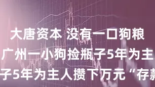 大唐资本 没有一口狗粮是白吃的！广州一小狗捡瓶子5年为主人攒下万元“存款”