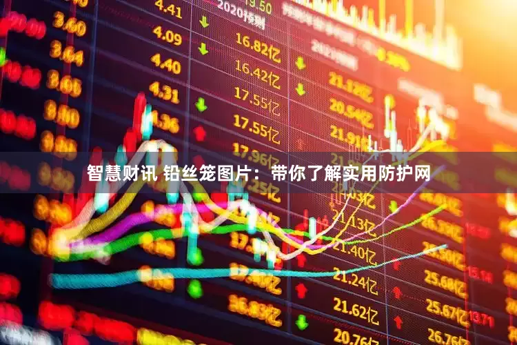 智慧财讯 铅丝笼图片：带你了解实用防护网
